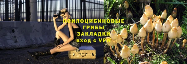 apvp Абаза