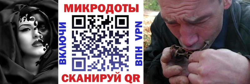 Псилоцибиновые грибы Psilocybine cubensis  Туран 